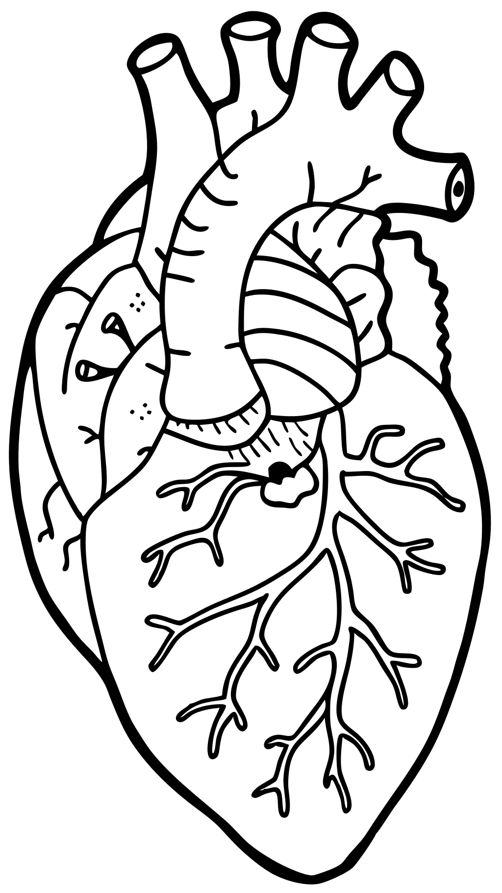 human heart coloring pages